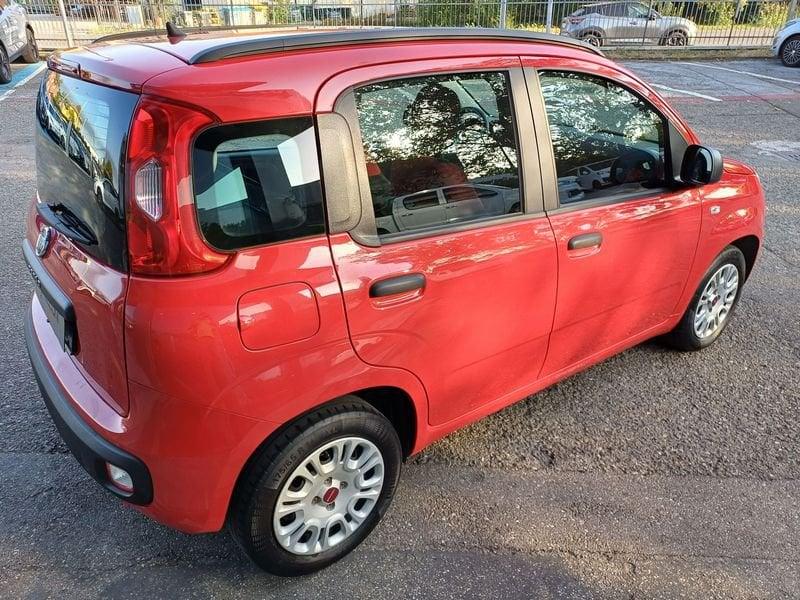 FIAT Panda Panda 1.2 69cv my19 KM CERTIFICATI-GARANZIA