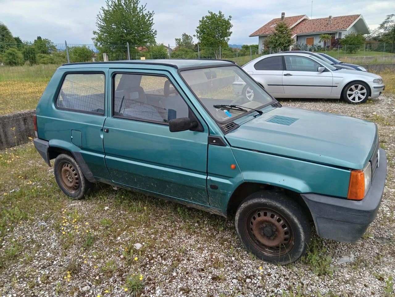Fiat Panda 1100 i.e. cat Young 03