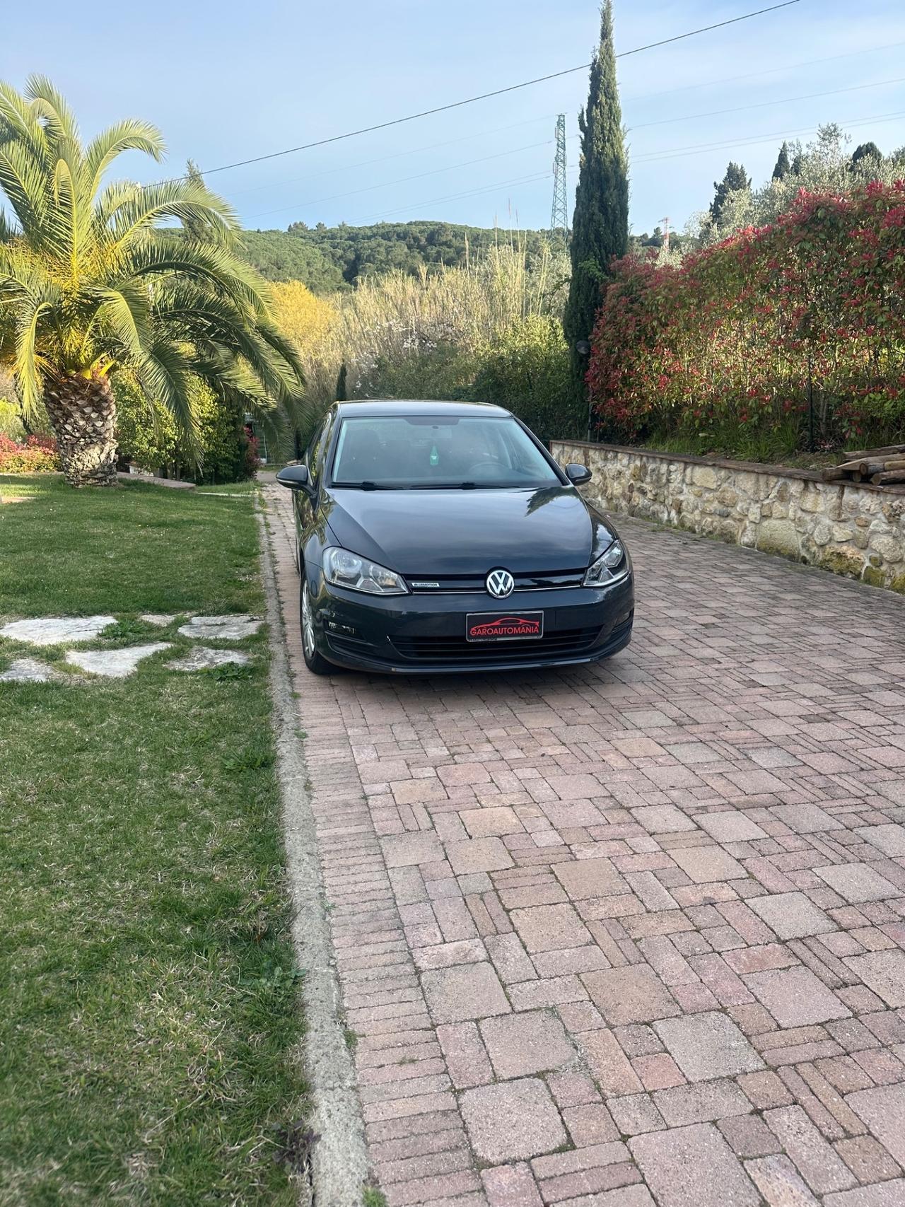 Volkswagen Golf 1.4 TGI 5p. Comfortline BlueMotion