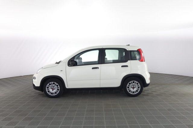 FIAT Panda Panda 1.0 FireFly S&S Hybrid
