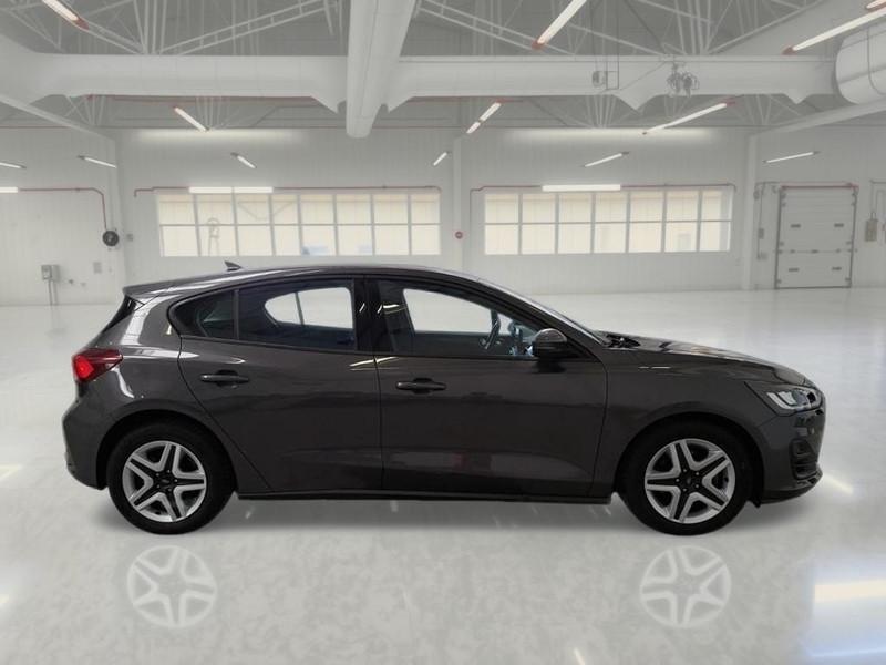 FORD FOCUS 1.5 Ecoblue 120cv Business Cambio Autom. 5 PORTE