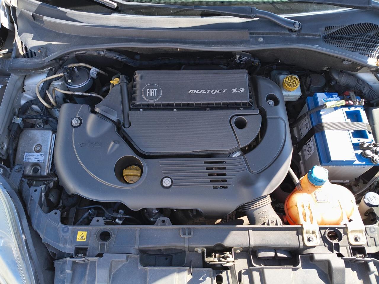 Fiat Punto Evo 1.3 Mjt 75 CV DPF 5 porte S&S Dynamic