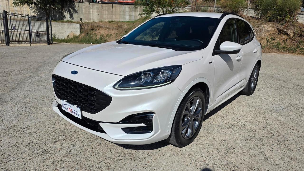 Ford Kuga 1.5 EcoBlue 120 CV aut. 2WD ST-Line X