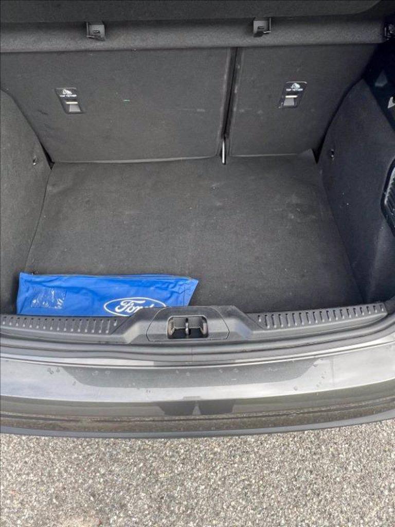FORD Focus 1.5 ecoblue ST-Line Style 115cv auto del 2023