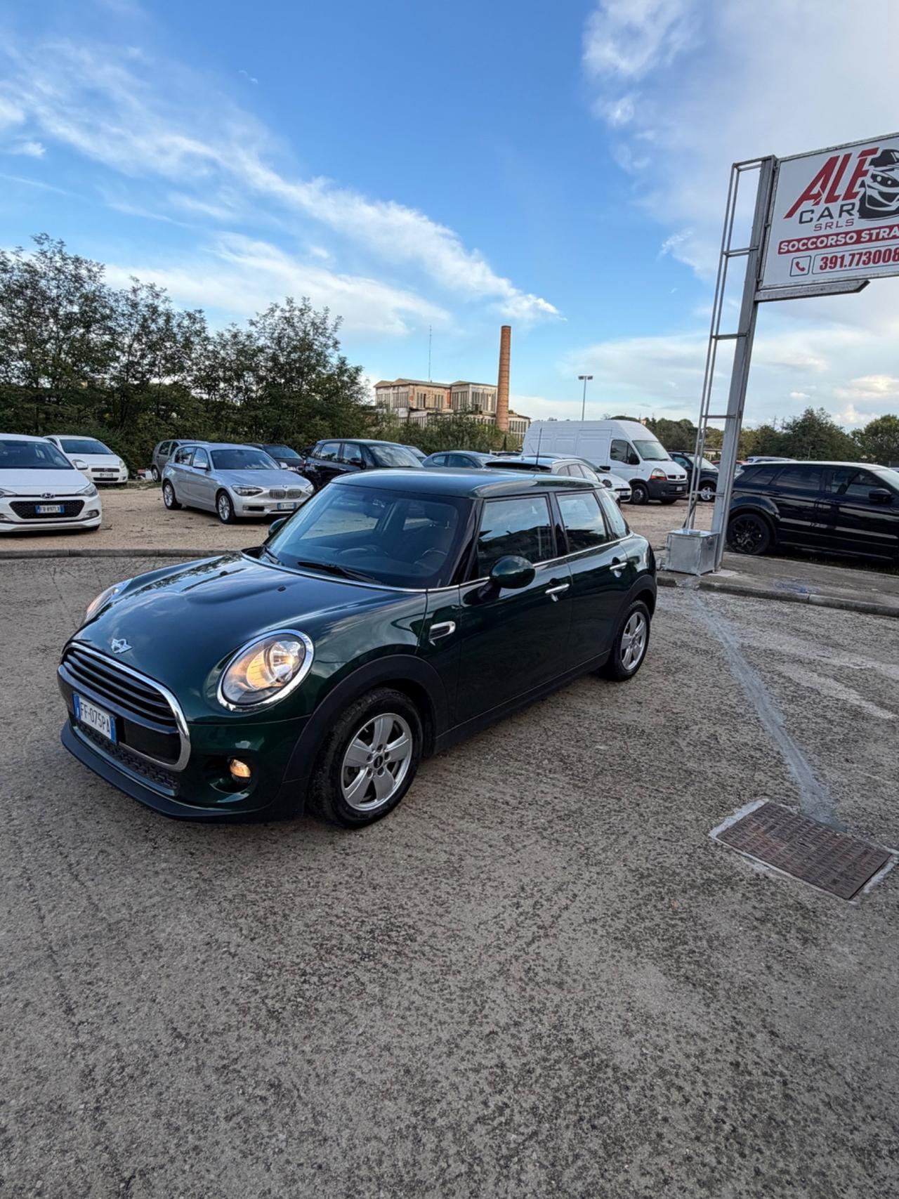 Mini 1.5 One D Hype