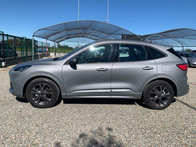 FORD Kuga 2.5 Full Hybrid 190 CV CVT 2WD ST-Line