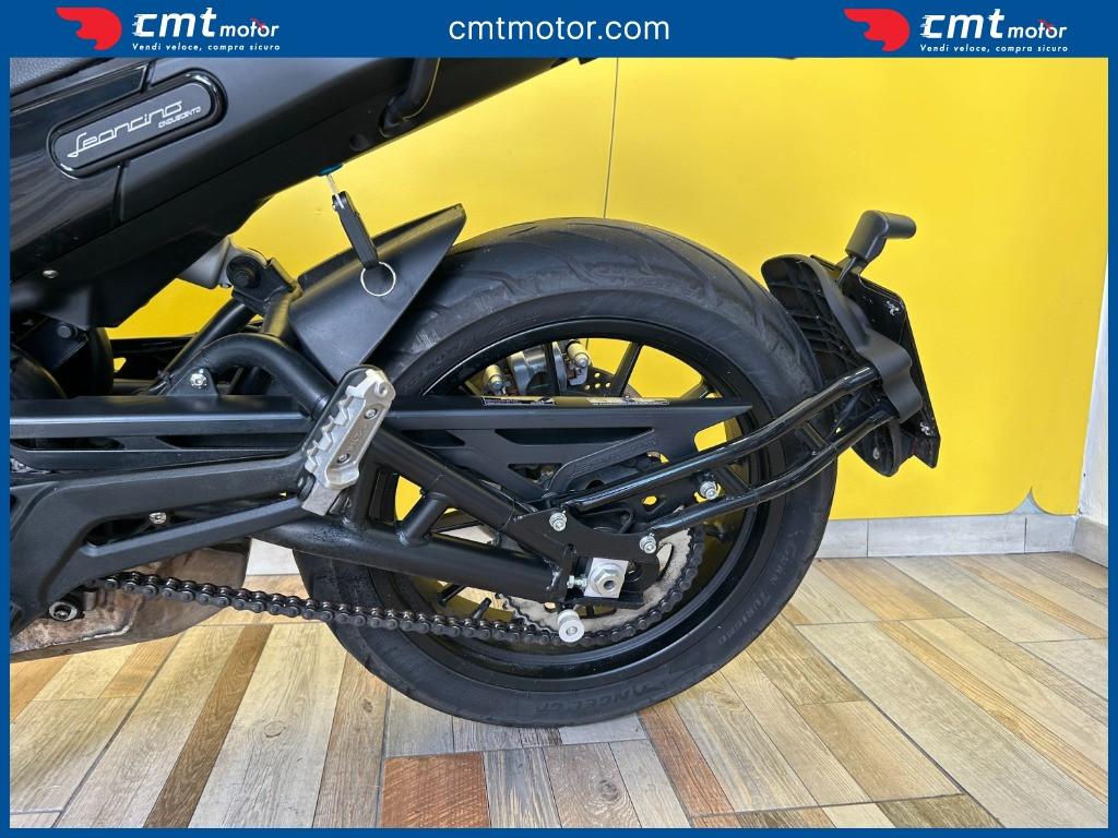 Benelli Leoncino 500 - 2022