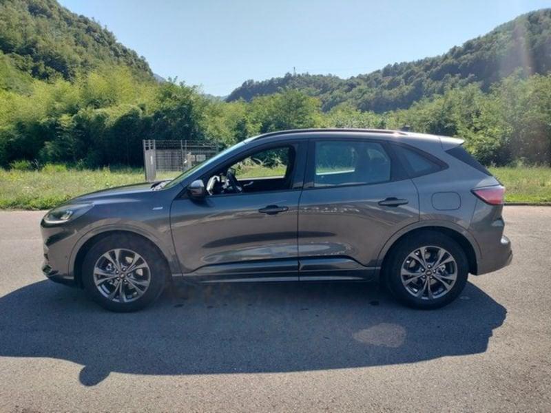 Ford Kuga Kuga 1.5 EcoBlue 120 CV 2WD ST-Line