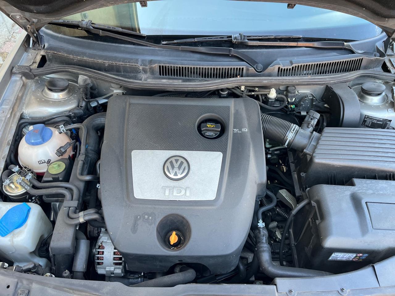 Volkswagen Golf 1.9 TDI/101 CV