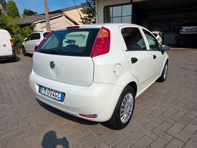 FIAT Punto 4ª serie Punto 1.4 8V 5 porte Easyp...