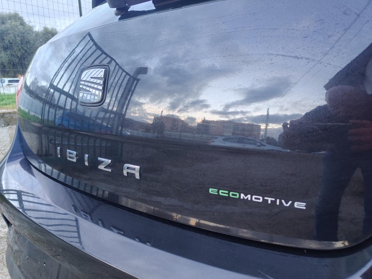 Seat Ibiza 1.4 TDI 80CV 5p. Reference 2010