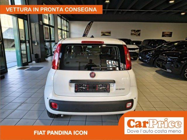 FIAT Pandina 1.0 FireFly 65CV Hybrid Icon (5 Posti)