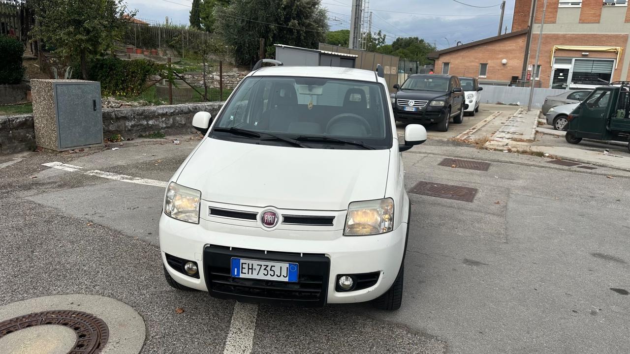 Fiat Panda 1.3 MJT 16V DPF 4x4 Climbing