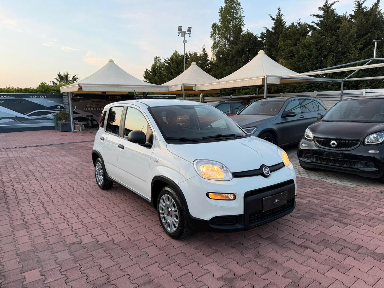 Fiat Panda 1.0 FireFly S&S Hybrid immatricolata N1 IVA DEDUCIBILE