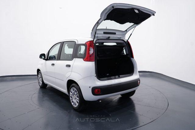 FIAT New Panda My25 1.0 FireFly S&S Hybrid
