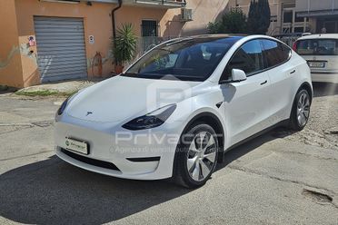 TESLA Model Y RWD