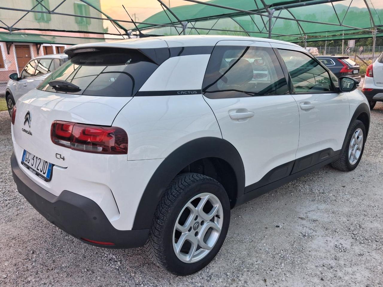 Citroen C4 Cactus 1.5 bluehdi Live s&s 100cv