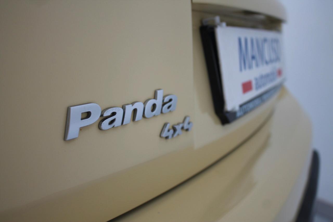 Fiat Panda 1.3 MJT 16V DPF 4x4 Climbing