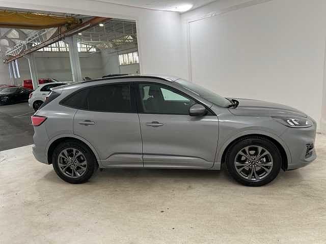 Ford Kuga 1.5 ecoblue st-line 2wd 120cv