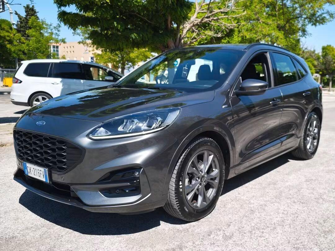 Ford Kuga 1.5 EcoBlue 120 CV aut. 2WD ST-Line