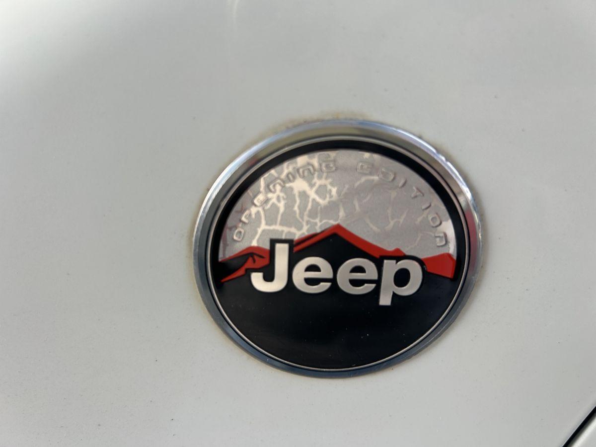 JEEP - Renegade - 1.6 Mjt 120CV Opening Edition PELLE