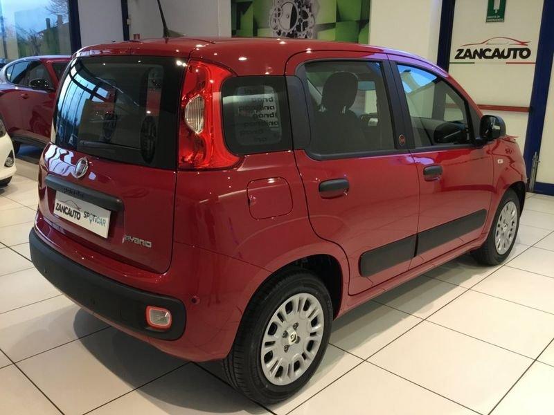 FIAT Panda Panda 1.0 FireFly S&S Hybrid Pop 65cv