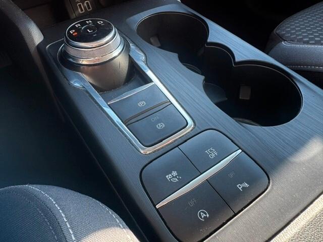 Ford Focus 1.5 EcoBlue 120 CV automatico SW Business