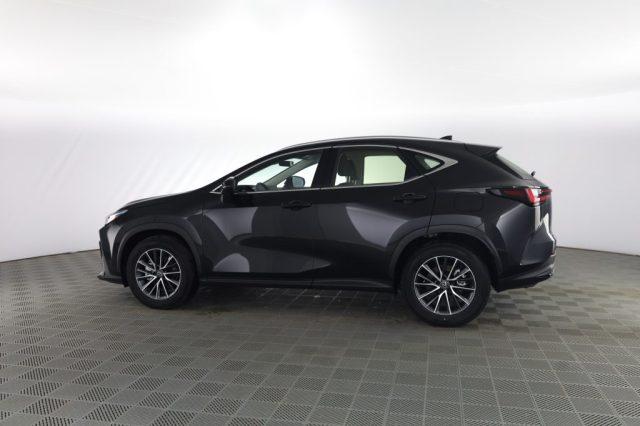 LEXUS Other NX NX Hybrid 4WD Business