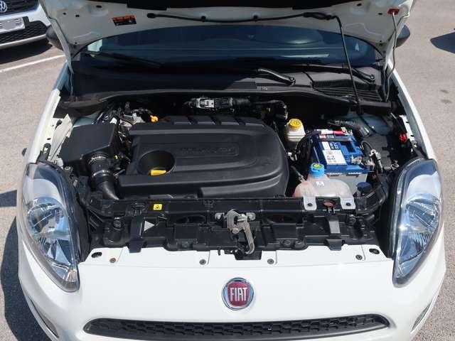 Fiat Punto 5p 1.3 mjt Street S&S - Per Neopat.