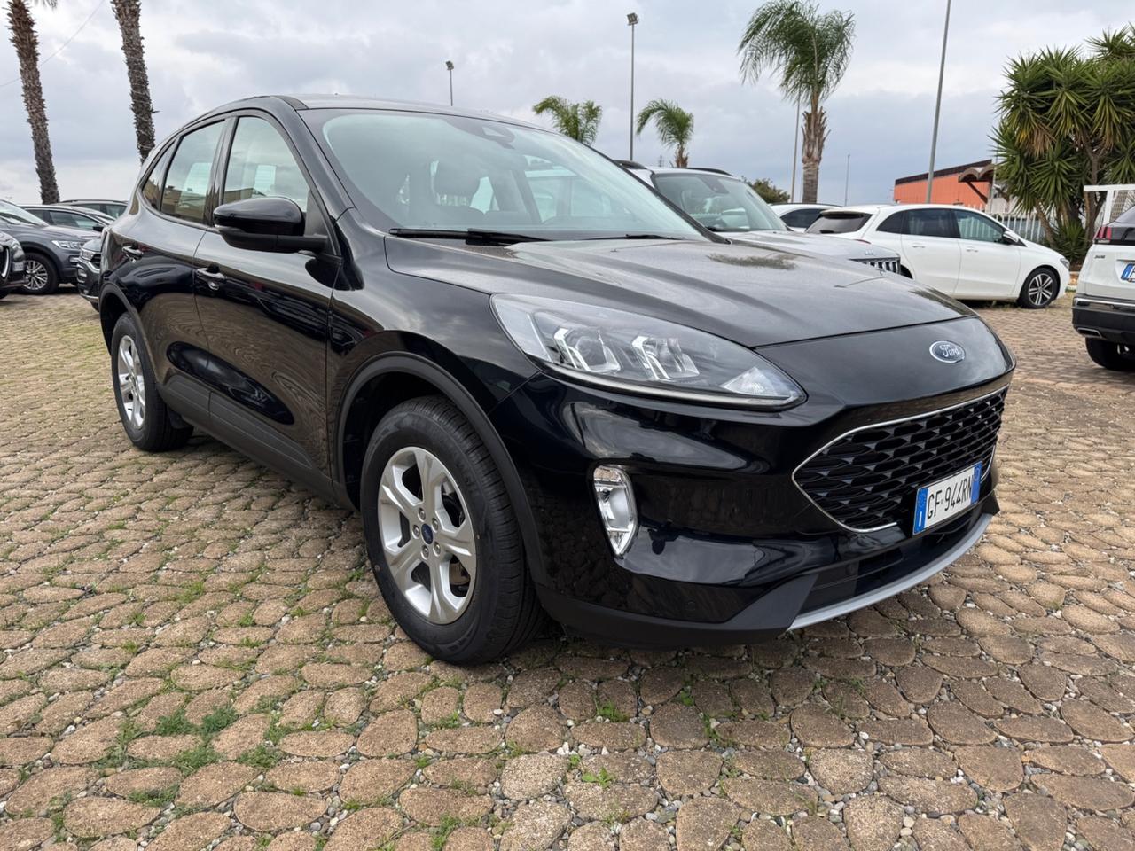 Ford Kuga 1.5 EcoBlue 120 CV aut. 2WD ST-Line X