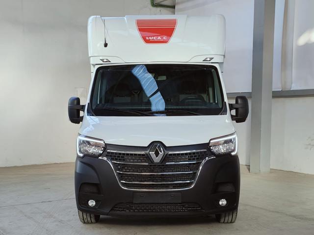 RENAULT Master T35 2.3 dCi 165 PL-TN Van Trasporto Cavalli