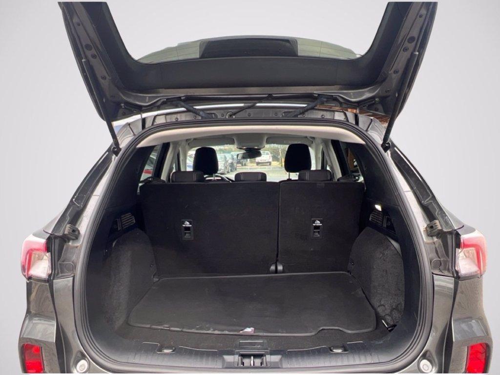 FORD Kuga 1.5 ecoblue Titanium 2wd 120cv del 2020