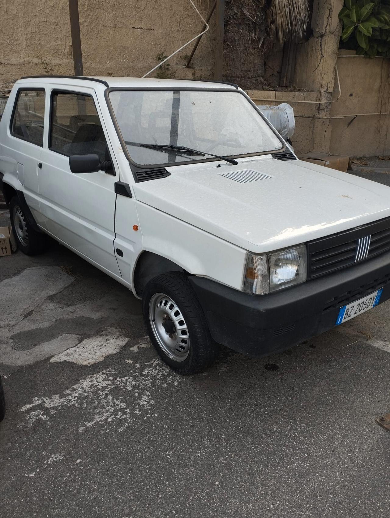 Fiat Panda 1100 i.e. cat Young