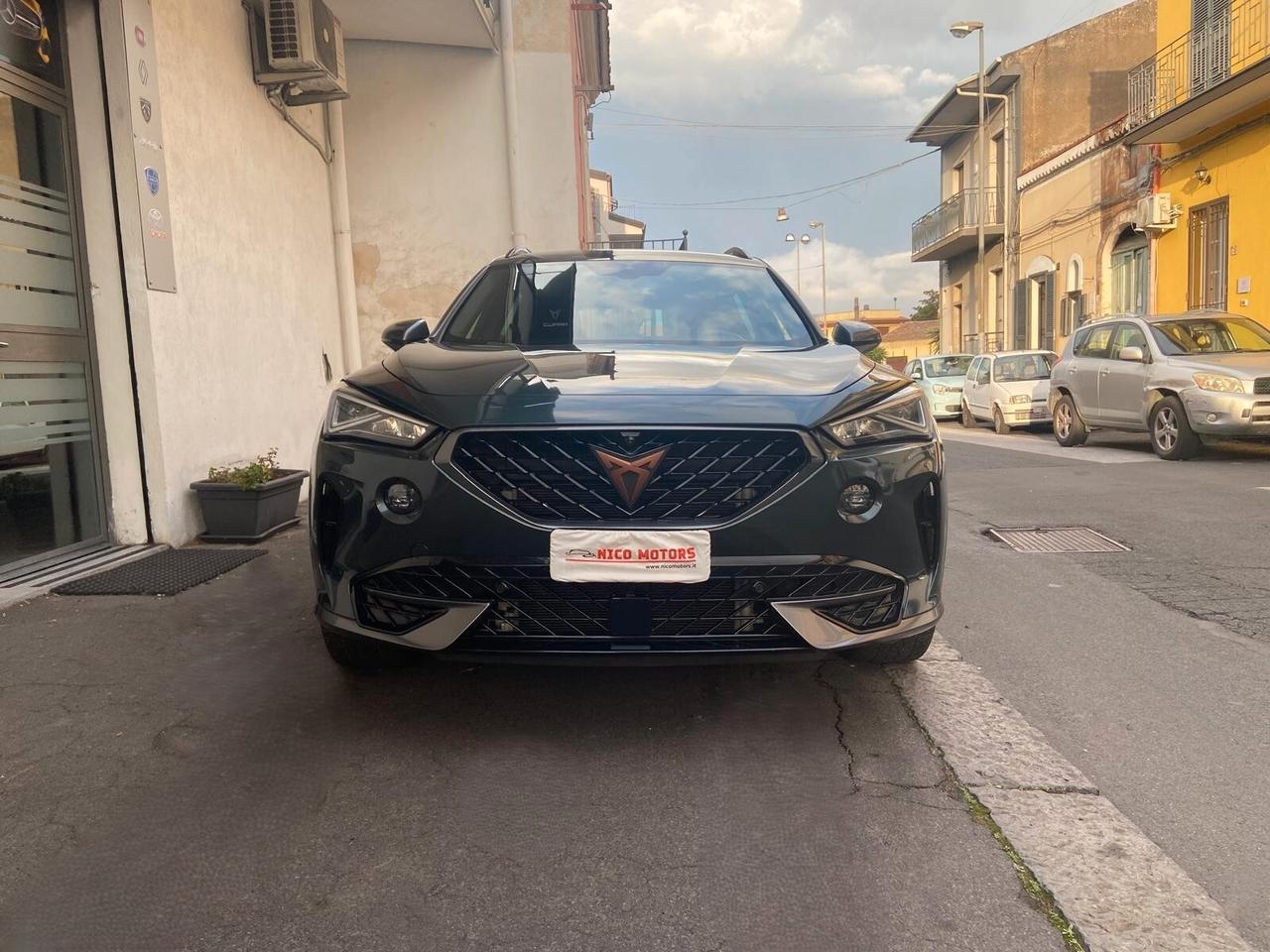 Cupra Formentor 2.0 TDI 4Drive DSG