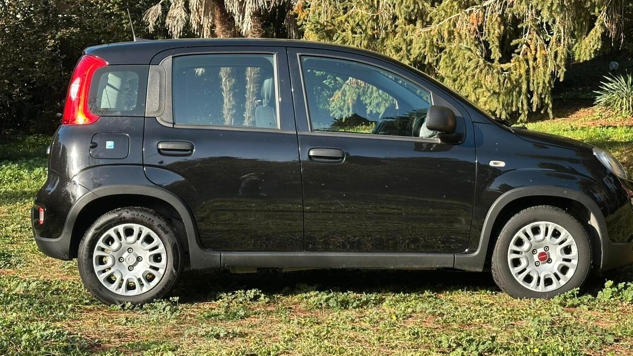 Fiat Panda 1.0 FireFly S&S Hybrid 2023 PERFETTA neop LEGGI TESTO