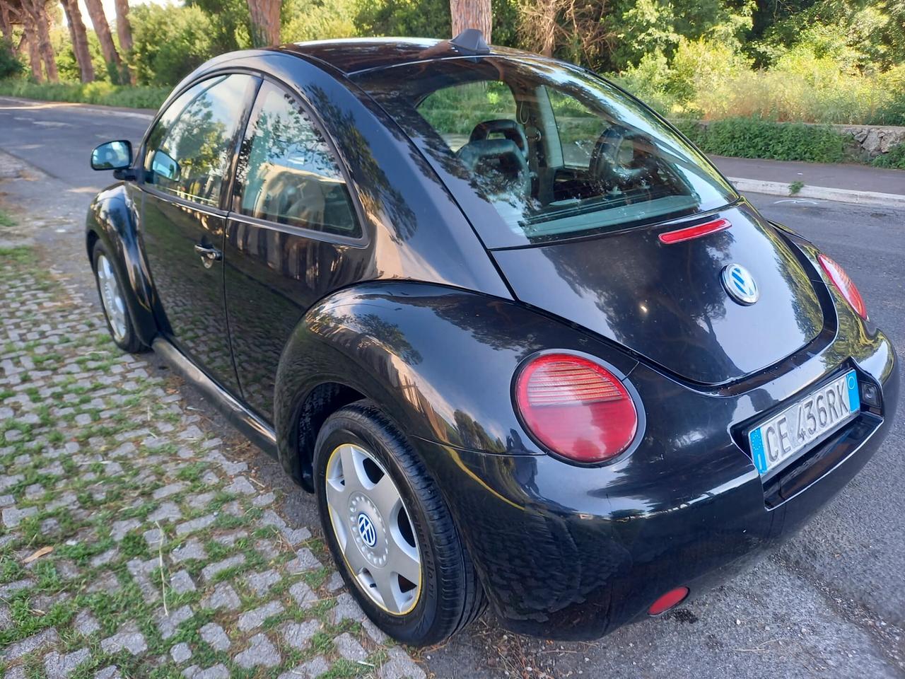 NEW BEETLE ISCRITTA ASI