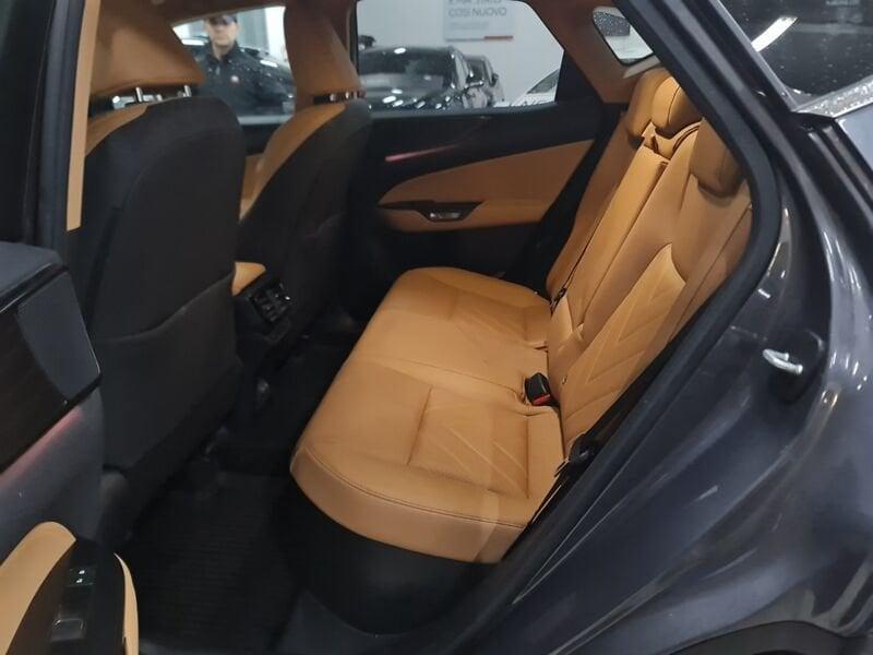 Lexus NX NX Hybrid 4WD Luxury