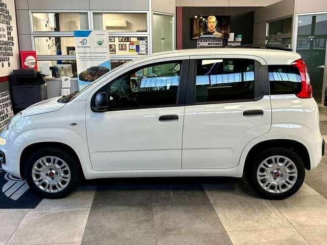 Fiat Panda 1.2 Benzina 69 CV S&S Easy + Neopatenta