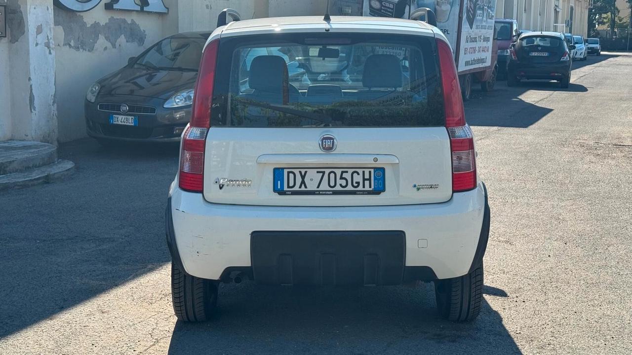 Fiat Panda 1.2 Climbing Natural Power