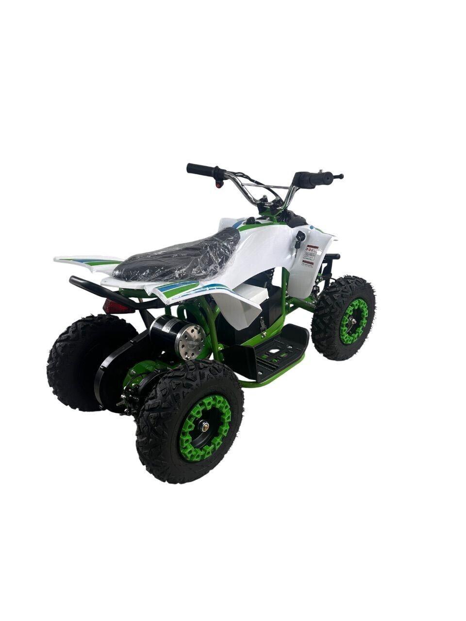 Altro Altro OFF ROAD Elettrico