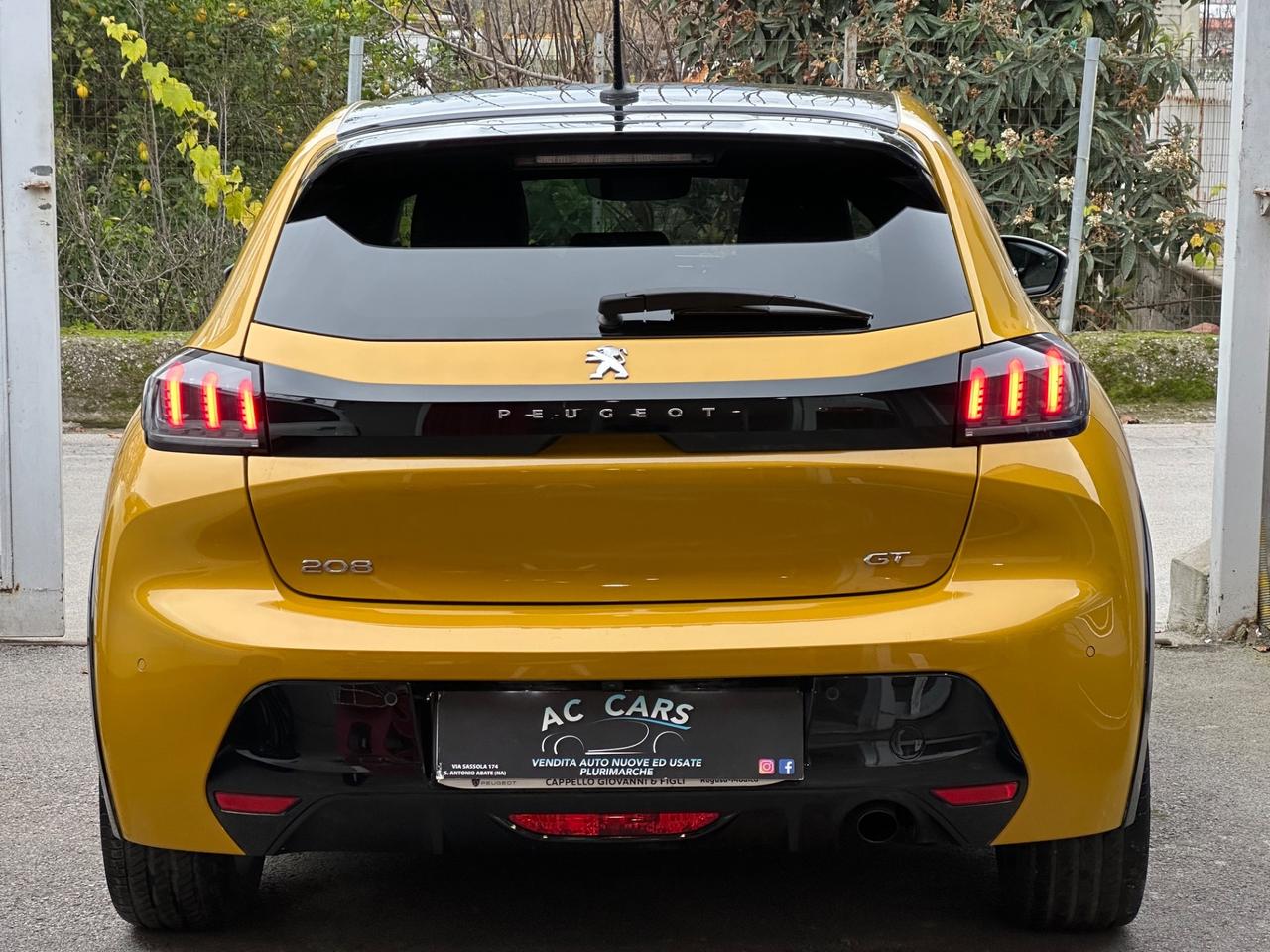 Peugeot 208 BlueHDi 100 Stop&Start 5 porte GT Line