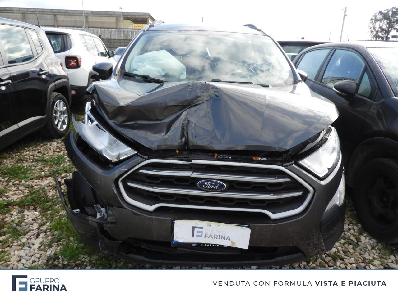 FORD EcoSport - EcoSport 1.5 tdci Plus s&s 100cv my18