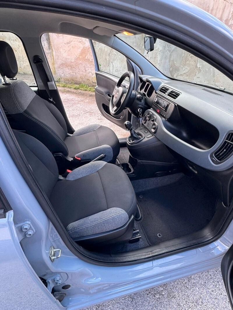FIAT Panda 3ª serie Panda 1.0 FireFly S&S Hybrid