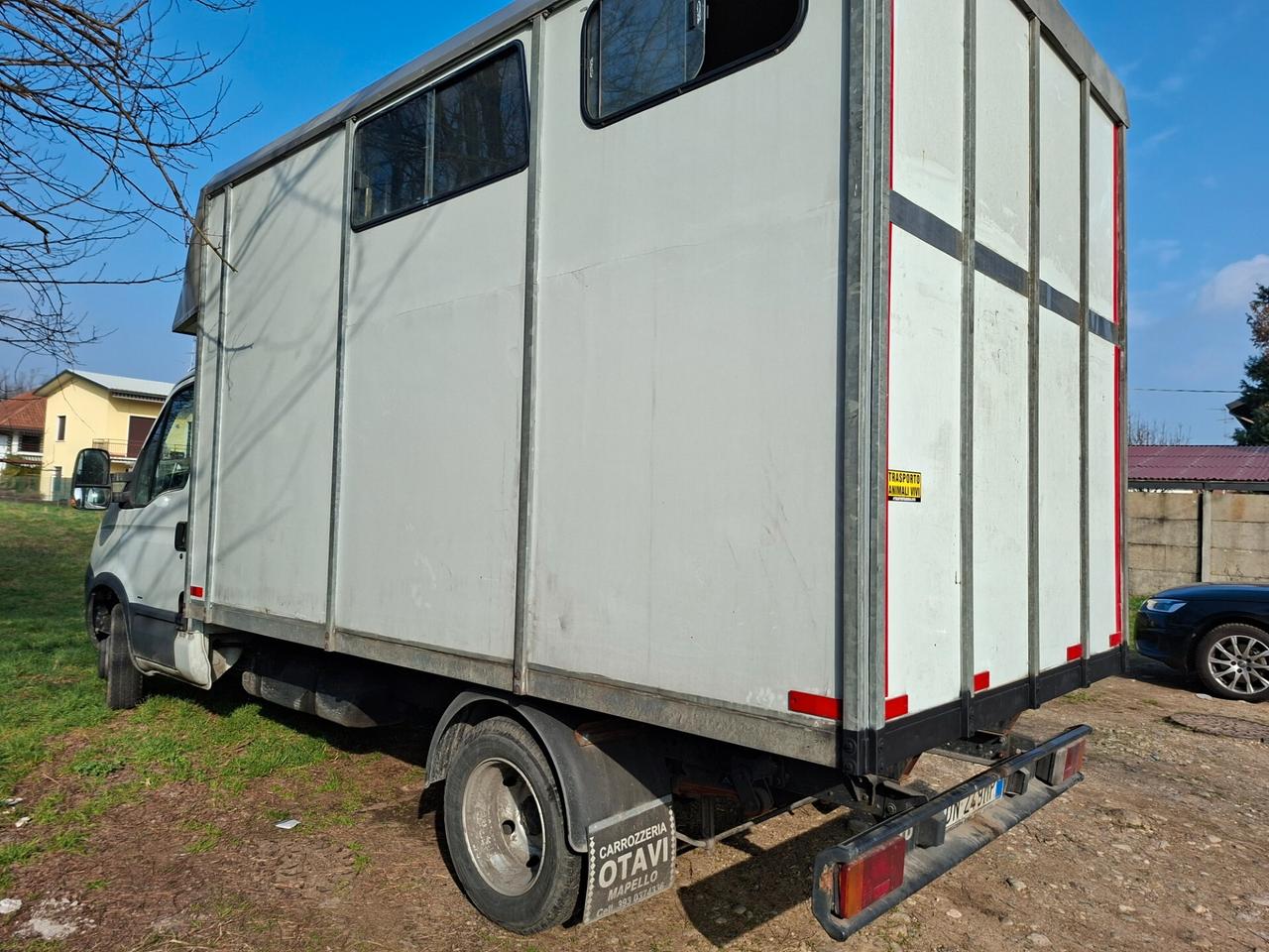 Iveco daily 3.0 td TRASPORTO CAVALLI motore ok