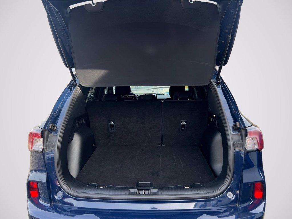 FORD Kuga 1.5 EcoBoost 150 CV 2WD ST-Line del 2023