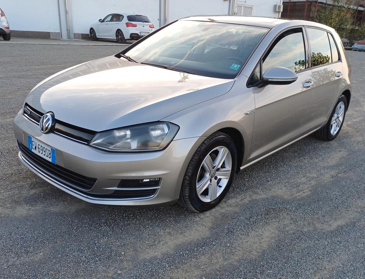 Volkswagen Golf 1.4 TGI 5p. Highline BlueMotion