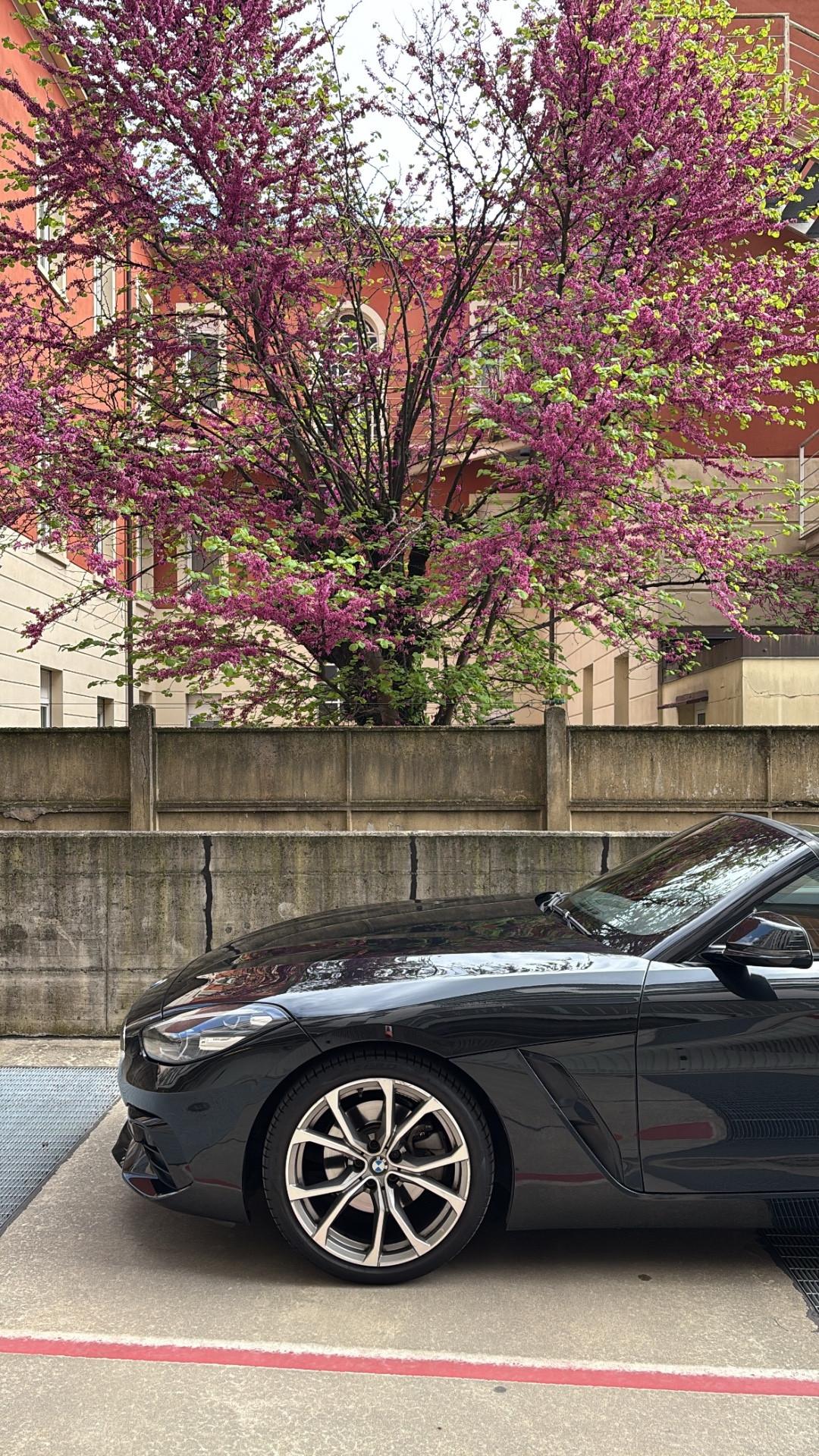 Bmw Z4 sDrive20i MSport