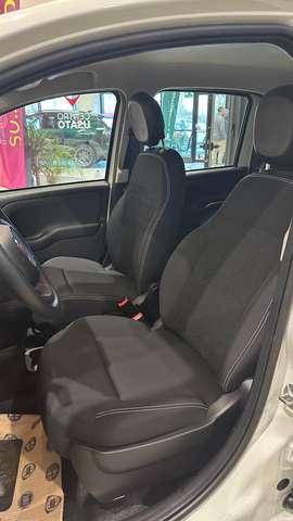 Fiat Panda Panda 1.0 hybrid Easy *KM0*