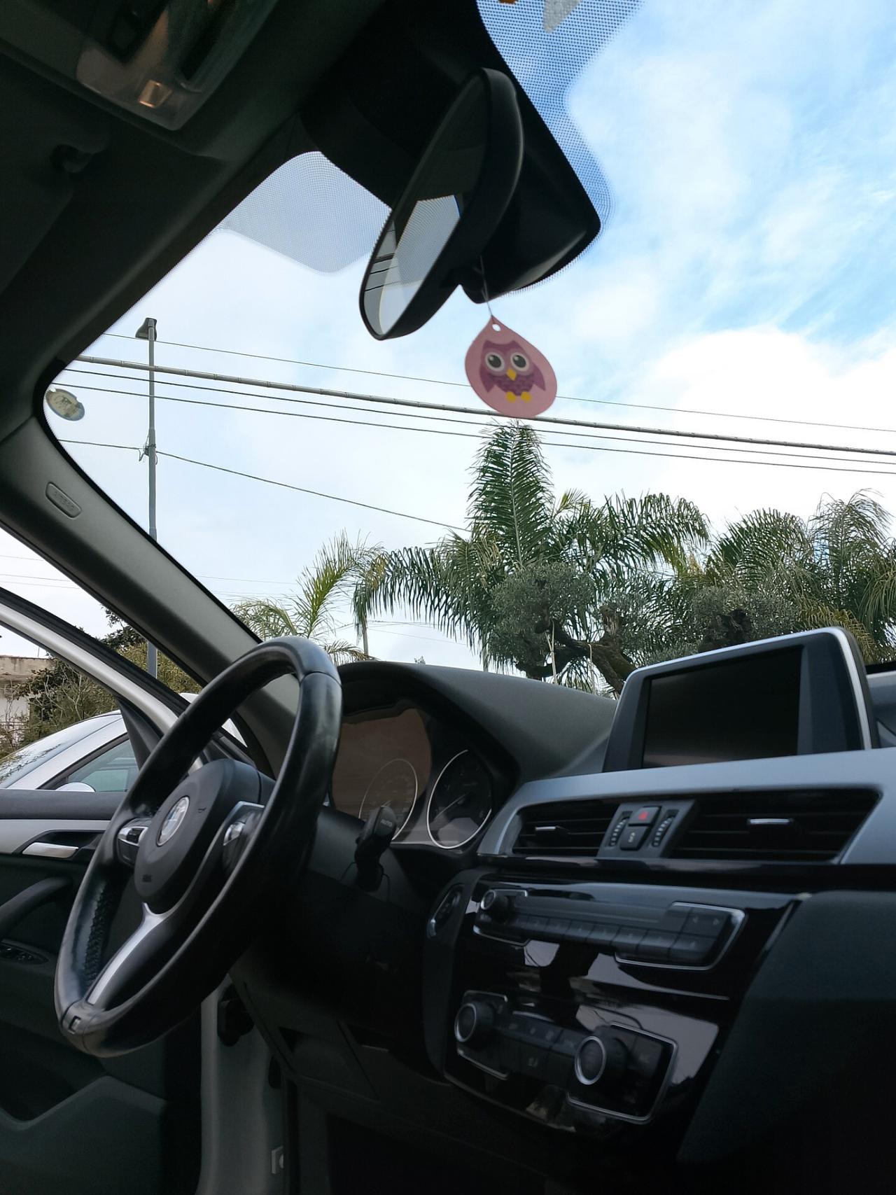 Bmw X1 xDrive20d Msport