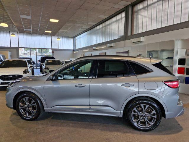 FORD Kuga 1.5 EcoBoost 150 CV 2WD ST-Line